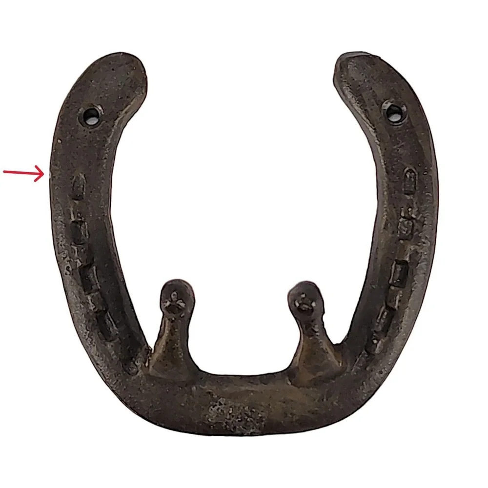 Cast Iron Horseshoe Good Luck Hook